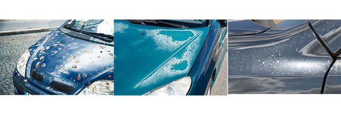 Types Car Paint Damage