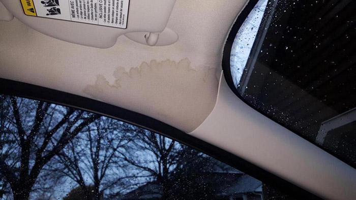 Water Leaks In Car When It Rains-4