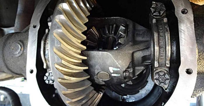 What Are Rear Differential-3